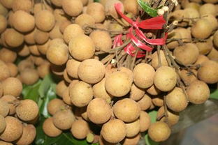 龍眼送贈，情意深長——淺析贈送龍眼的象征意義