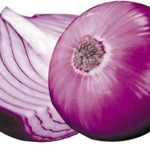 山東逸樂農副產品加工廠 脫水大蒜、大蒜、洋蔥及其他農副產品的專業加工與供應