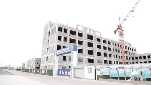 平原縣 聚焦綠色化工與農(nóng)副產(chǎn)品精深加工，雙輪驅(qū)動沖刺百億產(chǎn)值新高地