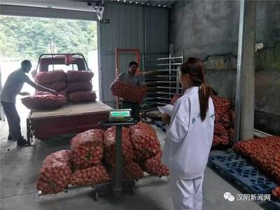 鎮園聯盟+電商聯盟 漢陰農副產品鼓起村民“錢袋子”的雙引擎