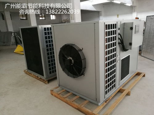 菠蘿片烘干機選購指南 廠家價格、圖片與批發(fā)渠道解析